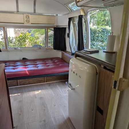 Campsite Pooh's Belle *